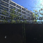 プロムナード・プランテ