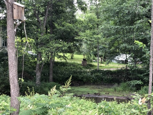 2018.06-07 旅10日目