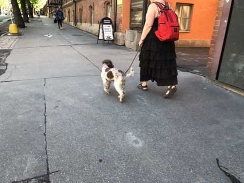 2018.06-07 旅8日目