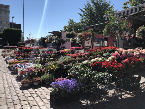 2018.06-07 旅8日目