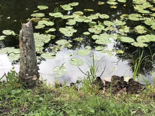 2018.06-07 旅10日目