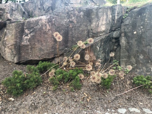 2018.06-07 旅10日目