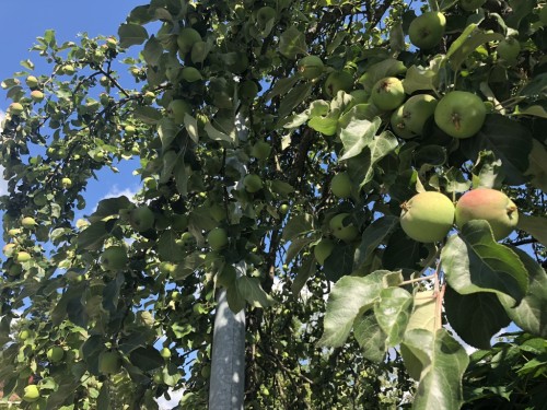 2018.06-07 旅12日目