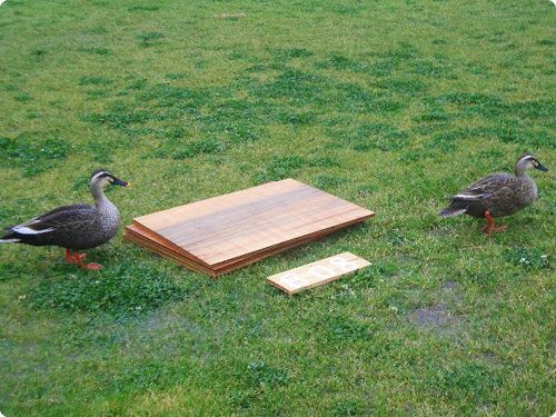 ロハスフェスタ