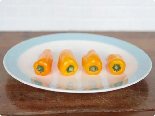 水色縁の丸いプレート