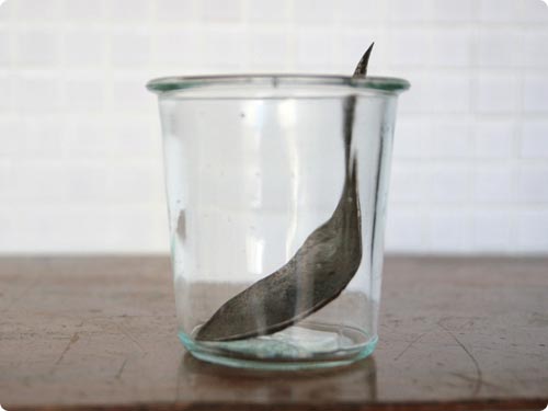 たとえばこんな