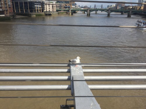 2017.05-06 旅6日目