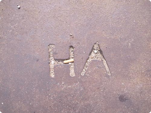 2010.05-06 旅10日目