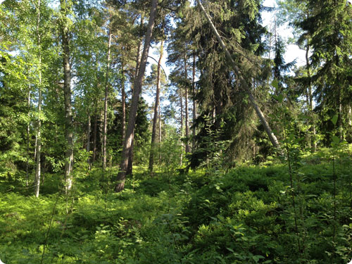 2013.05-06 旅11日目