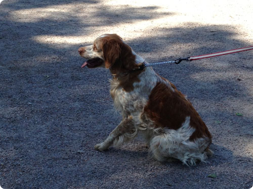 2013.05-06 旅11日目