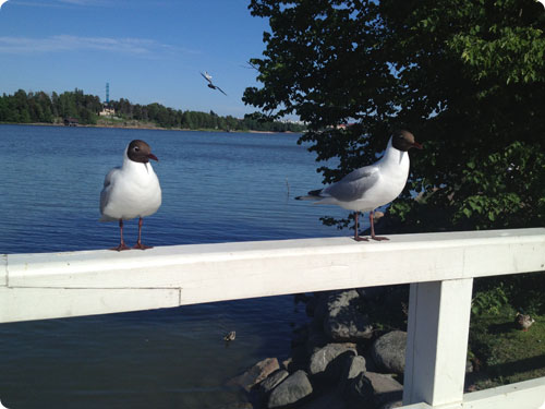 2013.05-06 旅11日目