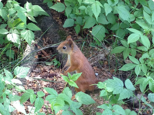 2013.05-06 旅11日目