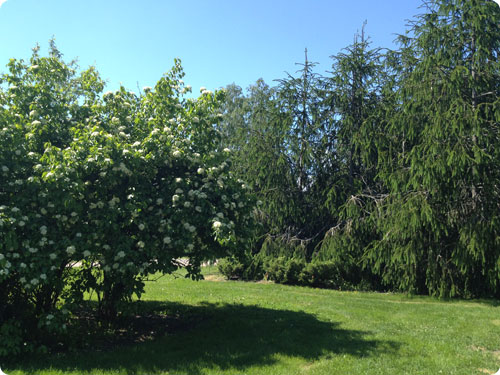 2013.05-06 旅11日目