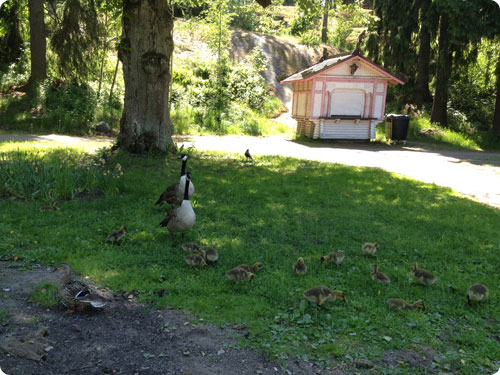 定休日のお知らせ