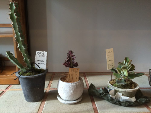 rusk 移転オープン