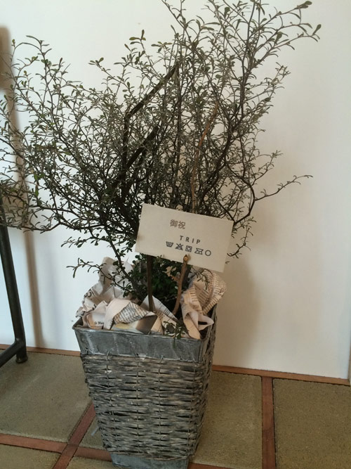 rusk 移転オープン