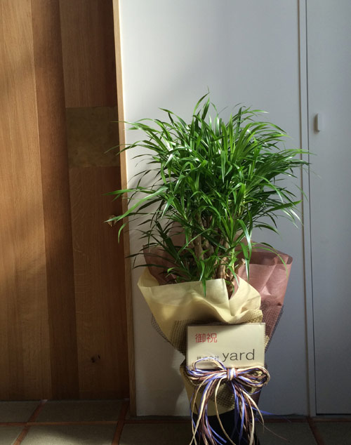 rusk 移転オープン