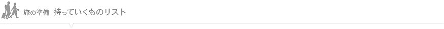 旅の準備 持っていくものリスト